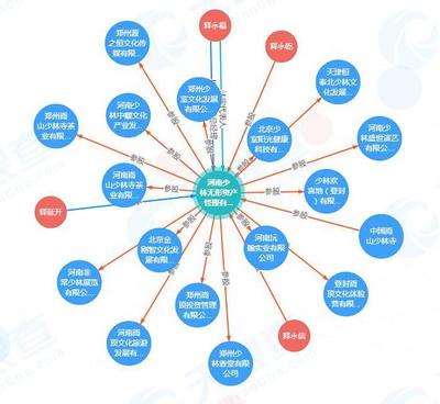 少林寺進(jìn)軍房地產(chǎn) 無形資產(chǎn)對(duì)外投資16家公司的戰(zhàn)略布局與管理